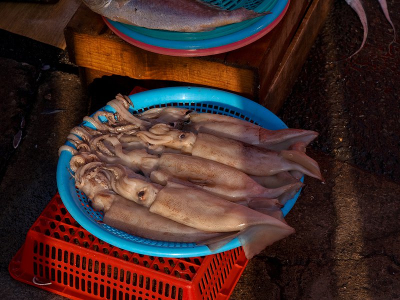 Fish, Busan, Jagalchi Market